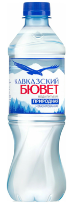 Кавказский Бювет негаз 0,5 л